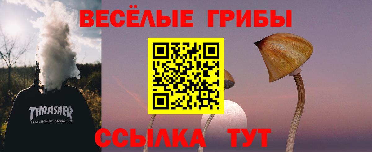 где купить   Псилоцибиновые грибы Psilocybe  Вход с VPN  Сунжа 